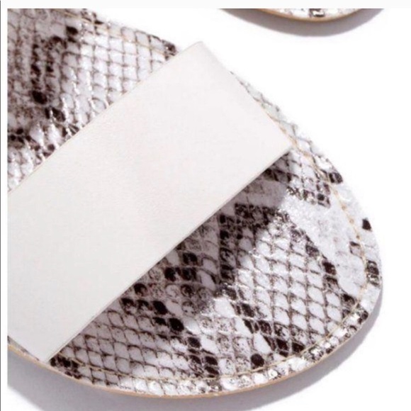 Snake Print Double Strap Sandals 💕 - Picture 4 of 6